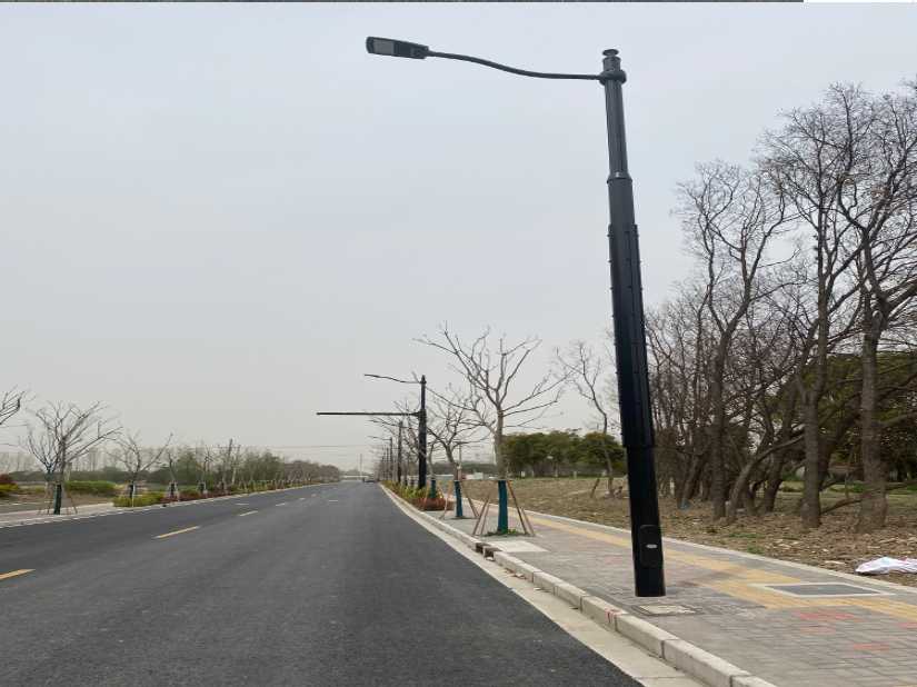 南谯区上海综合杆 太阳能路灯工程